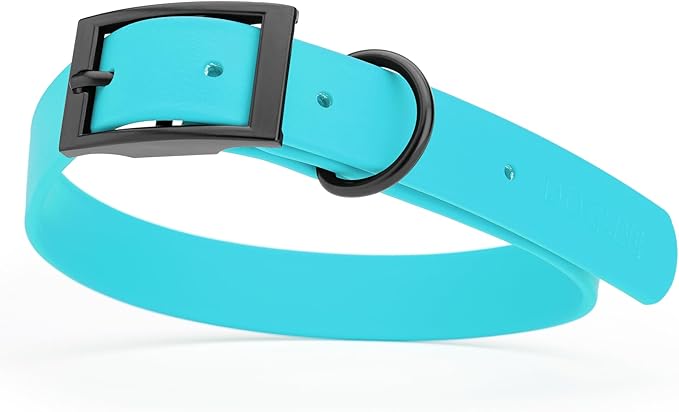 Dogline Biothane Waterproof Dog Collar Strong Coated Nylon Webbing with Black Hardware Odor- Proof for Easy Care Easy to Clean High Performance Fits Small Medium or Large Dogs, Sky Blue