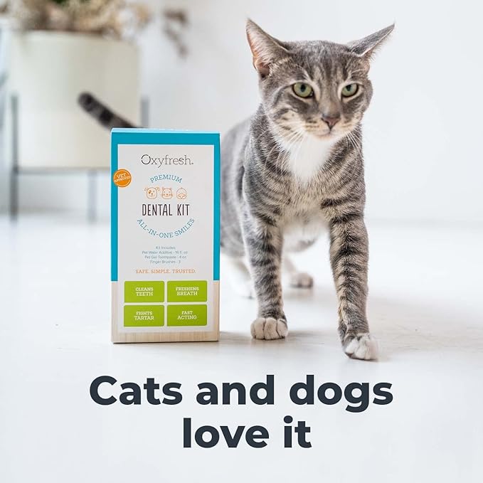 Oxyfresh Premium Pet Dental Kit for Dogs & Cats – Easy Solution for Fresh Breath, Clean Teeth, Control Plaque & Tartar – Vet Formulated Pet Toothpaste 1oz + Water Additive 3oz + 3 LG Brushes Kit