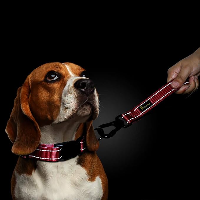 PLUTUS PET 10” Short Dog Leash, Reflective Nylon Padded Handle, Strong Traffic Leash with Carabiner Clip, Perfect for Large or Medium Dogs（10”，Red
