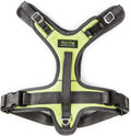 Mighty Paw Sport Harness 2.0 - Padded Canine Accessory - Adjustable Neck and Chest Straps - Enhanced Visibility with Reflective Stitching - Dog Padded Harness with Handle - Large - Green