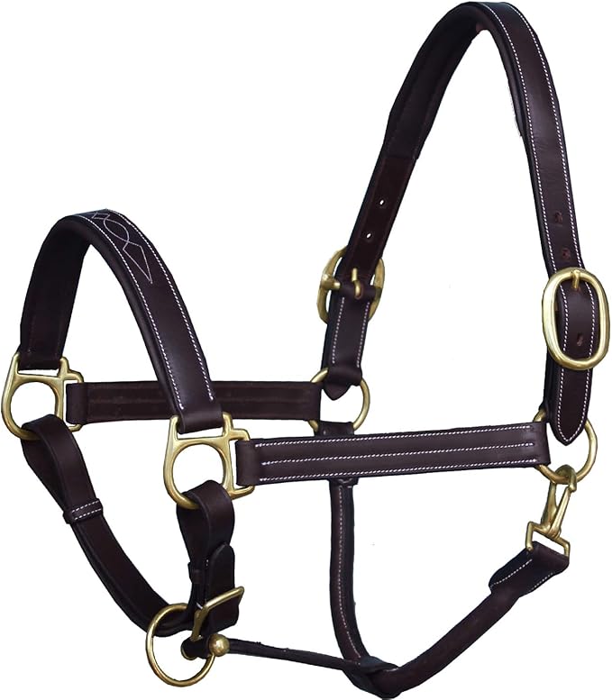 Exion Leather Horse Halter with Fancy Stitching | Black & Brown Padded Halter with Brass Hardware | Quick-Release Snap | Adjustable Leather Halter – Cob, Full, Over, Pony Sizes