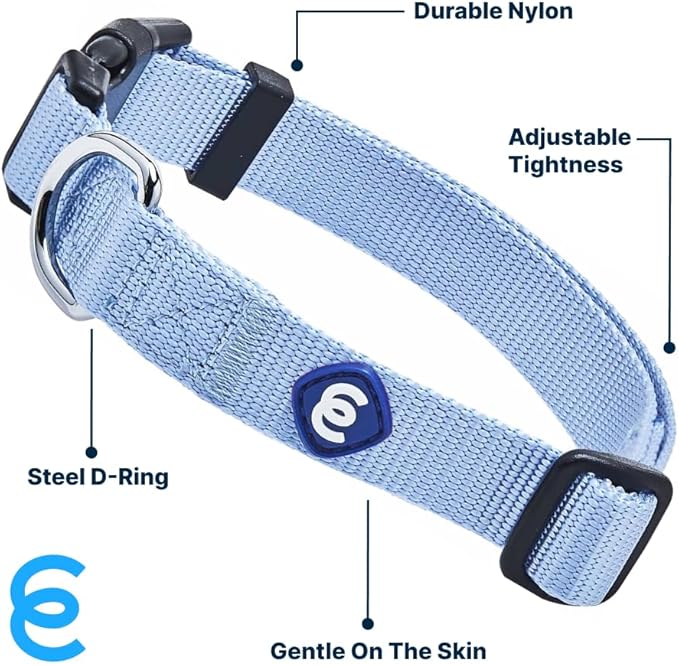 Blueberry Pet Essentials Dog Collar | Adjustable Girl Dog Collars for Medium Dogs | Chambray Blue Puppy Collar | Classic Nylon Dog Collars for Small Dogs | Pet Accessories