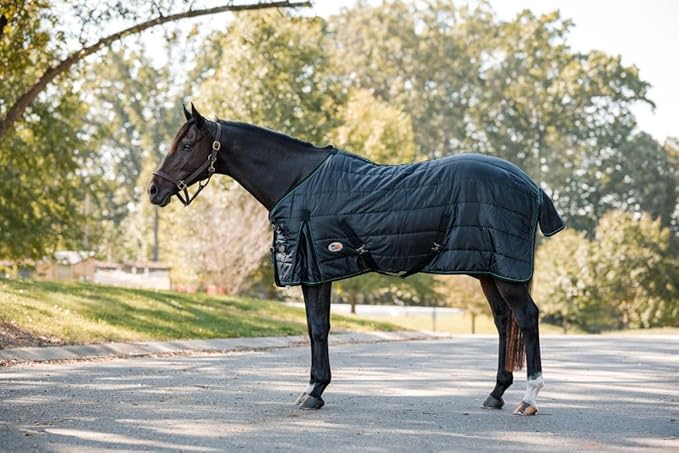 Miller's Medium Weight Stable Blanket 200 GSM Polyfill with Cotton Lining-Black-65