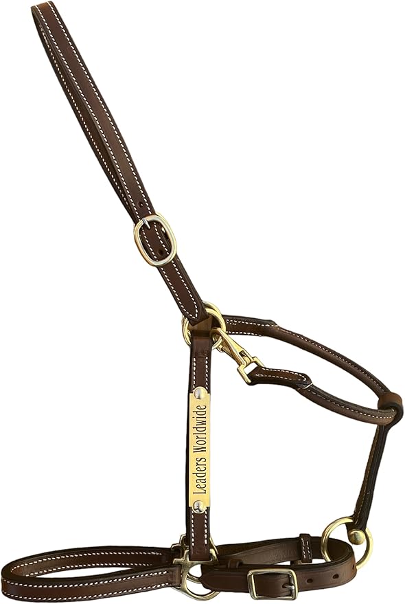 Leaders 3/4" Leather Halter for Horses with Customized Engraved Name Plate Brown Leather with Solid Brass Hardware