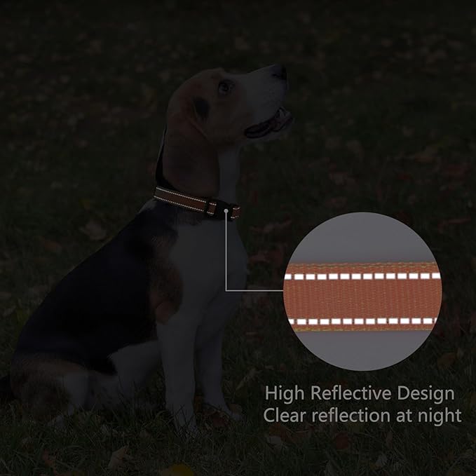 Reflective Dog Collar Padded with Soft Neoprene Breathable Quick Release Basic Dog Collars for Medium Large Dogs Orange