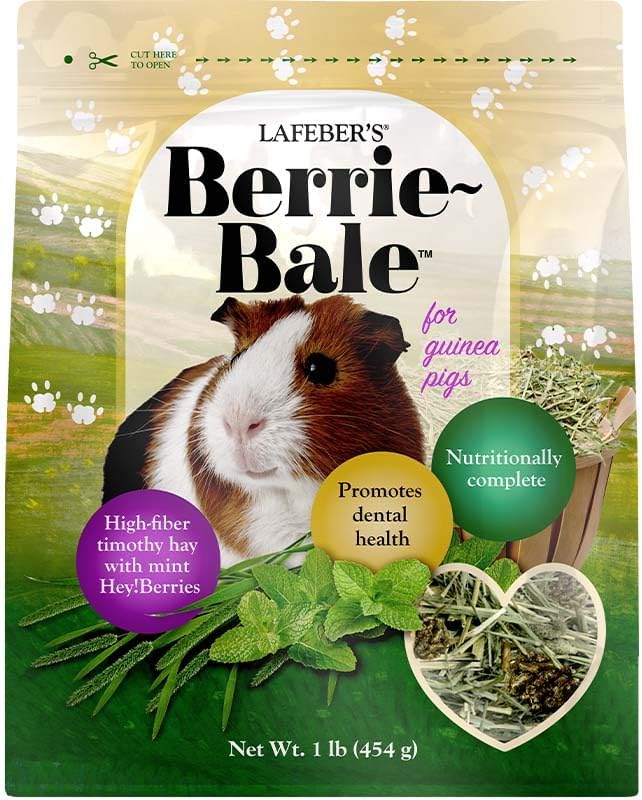 LAFEBER'S Berrie-Bale Mint for Guinea Pigs 1 lb