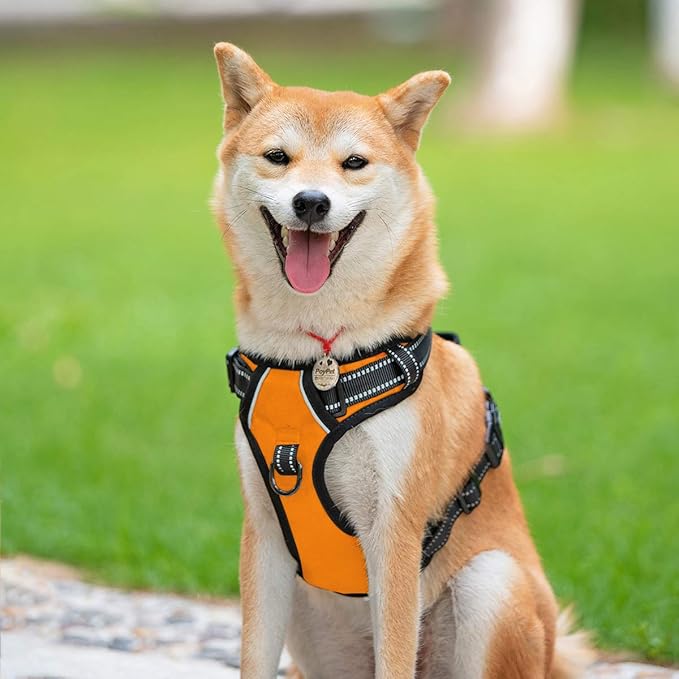 PoyPet No Pull Dog Harness, Reflective Comfortable Vest Harness with Front & Back 2 Leash Attachments and Easy Control Handle Adjustable Soft Padded Pet Vest for Small to Large Dogs (Orange,L)