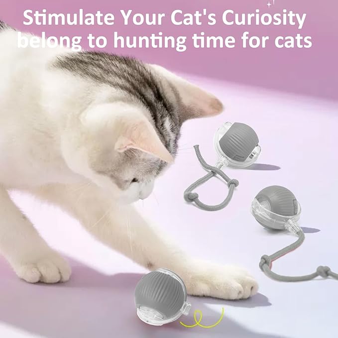 Chewie Viral Rolling Ball, Interactive Cat Toys Ball for Indoor, Cats Interactive Self Rolling Ball Dog Ball Automatic Cat Toy 360° Smart Automatic Rolling Pet Ball (Grey)