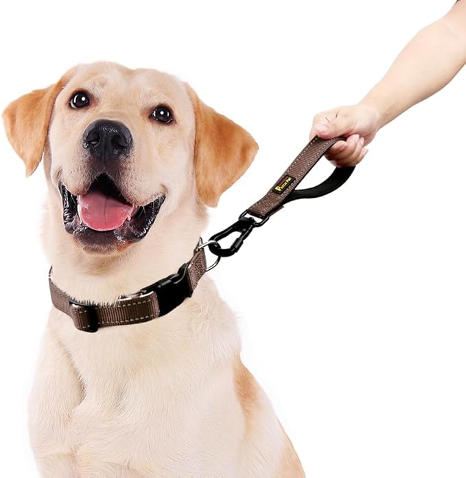 PLUTUS PET Short Dog Leash, Reflective Nylon Padded Handle, Strong Traffic Leash with Carabiner Clip, Perfect for Large or Medium Dogs (10”，Chocolate)