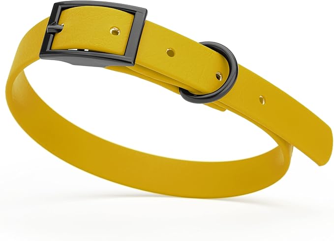 Dogline Biothane Waterproof Dog Collar Strong Coated Nylon Webbing with Black Hardware Odor- Proof for Easy Care Easy to Clean High Performance Fits Small Medium or Large Dogs, Treasure Gold