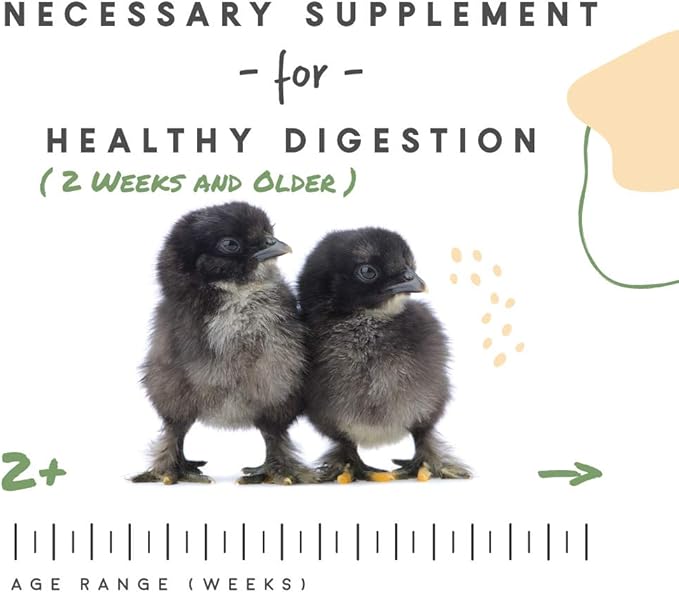 Manna Pro Chick Grit, Digestive Supplement for Young Poultry and Bantam Breed, Probiotics to Support Digestion, No Artificial Ingredients or Preservatives, Insoluble Crushed Granite, 25 lbs