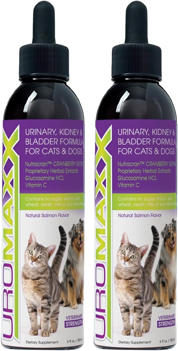 Cat & Dog Urinary Tract Treatment, Bladder & Kidney Support for Dogs and Cats, Powerful Yet Gentle Pet Care, with Liquid Cranberry & Glucosamine, Salmon Flavor, 6 oz Bottle, 2 Pack