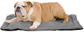 K9 Ballistics Tough Ripstop Dog Crate Pad - Durable & Machine Washable with Non-Skid Bottom and 120-Day Warranty, Fits 36" Wire Crates - Medium, Light Gray Velvet