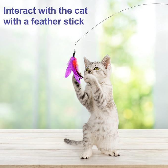 Cat Feather Toys Interactive Cats - Dorakitten Cat Powerful Suction Cup Handheld Teaser Wand Toy and 5PCS Replacement Feather with Bell for Kitty Kitten Scratching Exercise Indoor