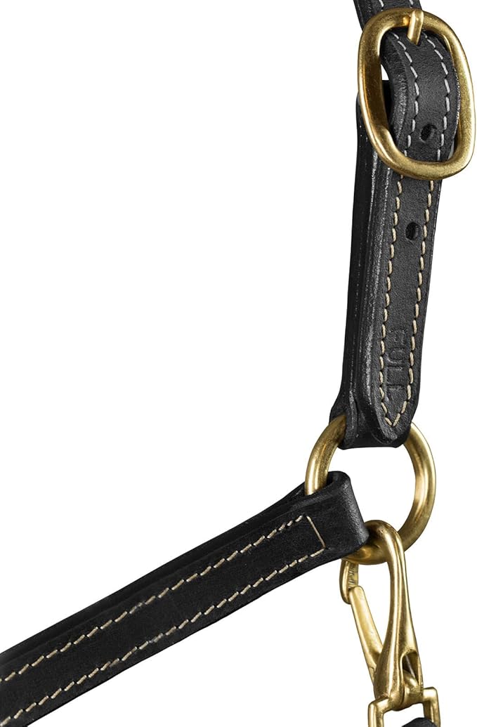 HORZE Fremont Soft Synthetic Leather Horse Halter - Fully Adjustable Halter with Brass Hardware & Contrast Stitching - Black (Pony)