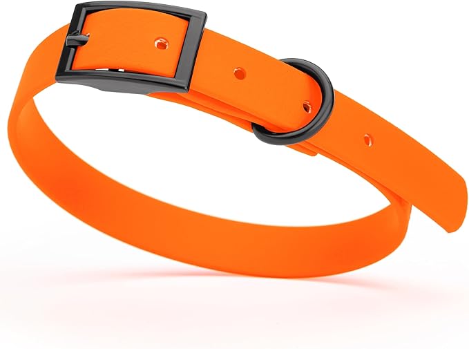 Dogline Biothane Waterproof Dog Collar Strong Coated Nylon Webbing with Black Hardware Odor- Proof for Easy Care Easy to Clean High Performance Fits Small Medium or Large Dogs, Hunter Orange