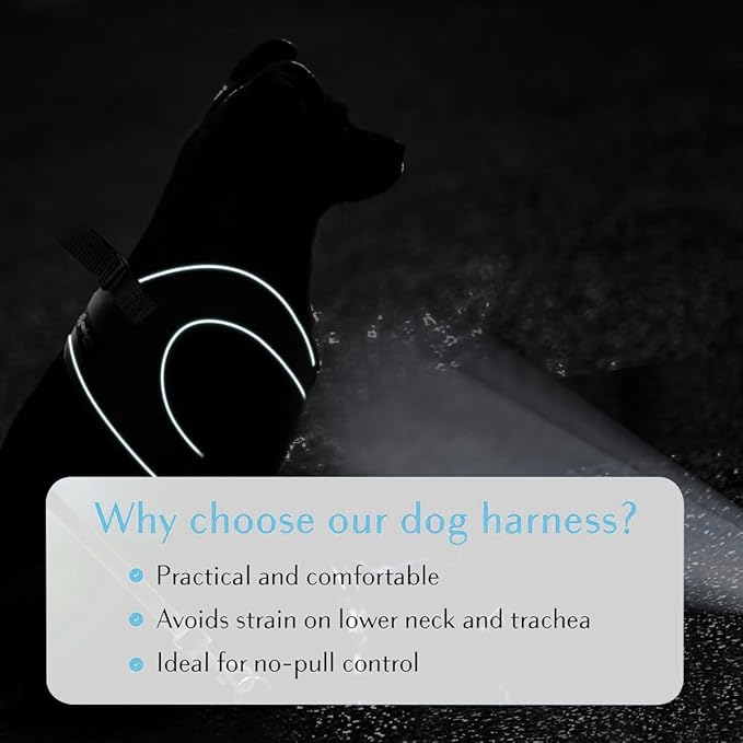 Comfort Fit Dog Harness Soft Padded No Pull Harness with Adjustable Buckles for Small Medium Large Dogs Step in Pet Vest with Easy Control Handle for Walking Jogging Running Training Dogs & Puppies