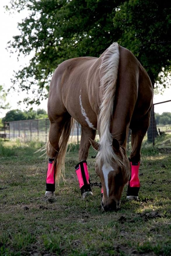 Warrior Fly Boots for Horses - Breathable Mesh Horse Boots for Fly Protection & Leg Comfort - Set of 4 (The Warrior, Neon Pink)