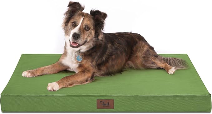 Orthopedic Dog Bed for Large Dogs, Big Waterproof Washable Dog Bed for Large Sized Dogs with Egg Crate Foam Pet Bed Mat, Removable Oxford Cooling Cover, Light Green