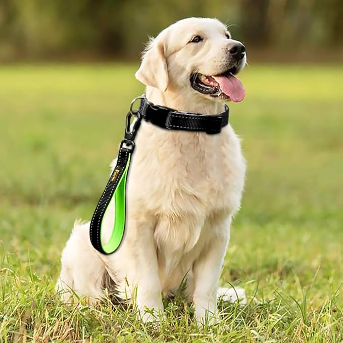 PLUTUS PET 10 Inch Short Dog Leash for Large Dogs with Locking Carabiner Clip & Padded Handle（10”, Black）