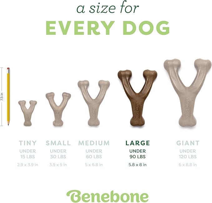 Benebone Large 3-Pack, Wishbone Durable Dog Chew Toy for Aggressive Chewers, Real Bacon, Chicken, Peanut Butter, Made in USA, Variety Pack