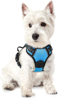 rabbitgoo Dog Harness No Pull with 2 Leash Clips, Adjustable Soft Padded, Reflective Oxford No Choke Pet Vest with Easy Control Handle for Puppy, Blue, XS