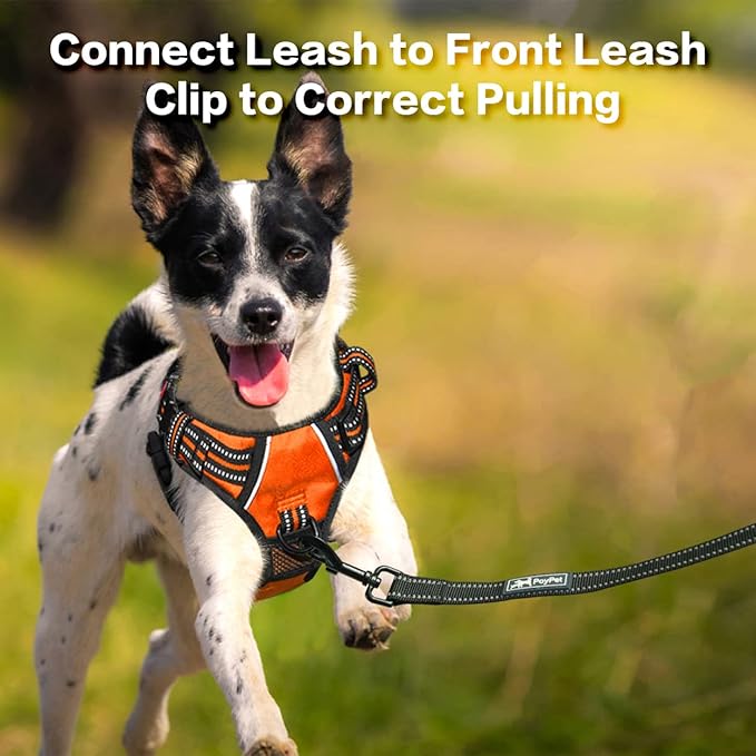PoyPet No Pull Dog Harness, No Choke Front Clip Reflective Dog Vest with Soft Padded Vertical Handle, 3 Leash Attachments for Small Medium Large Dogs (Orange,L)