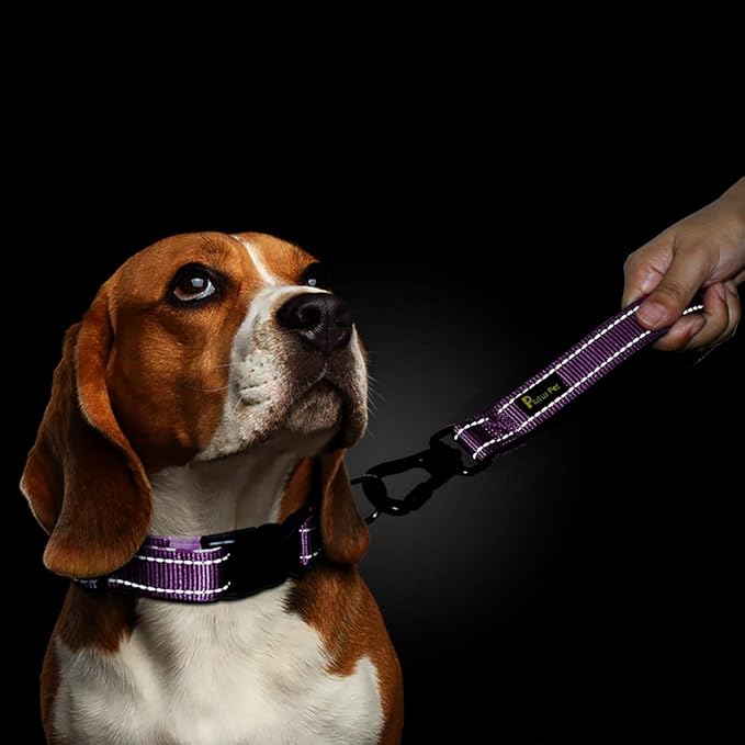 PLUTUS PET 10” Short Dog Leash, Reflective Nylon Padded Handle, Strong Traffic Leash with Carabiner Clip, Perfect for Large or Medium Dogs（10”，Purple