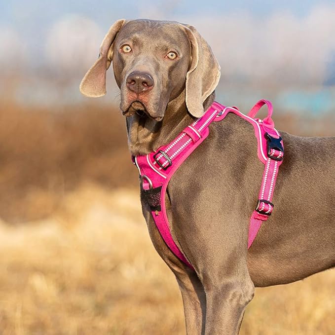 TRUE LOVE Dog Harness No Pull Nylon Reflective Pet Harness Adjustable Comfortable Control Step-in Brilliant Colors Truelove TLH56512 XS Fuchsia