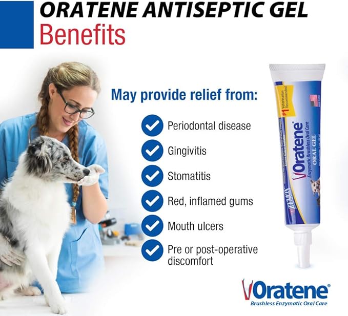 Pet King Brands ZYMOX Oratene Brushless Oral Gel for Dogs and Cats, 1oz