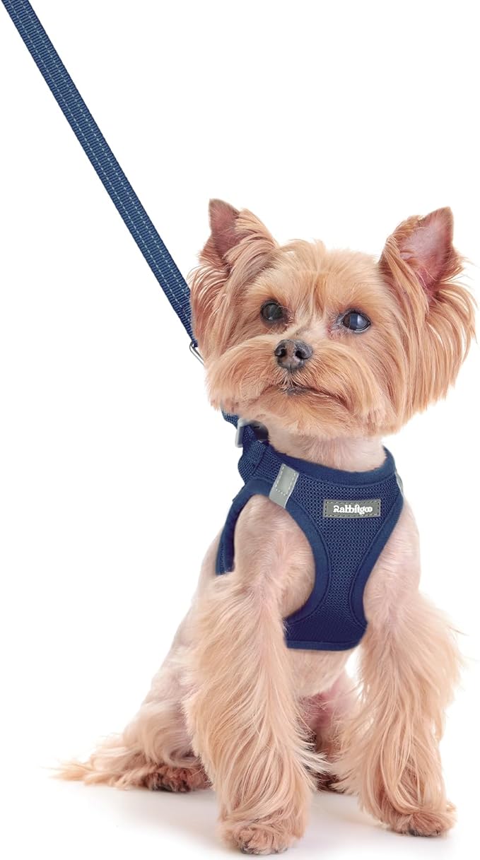 rabbitgoo Dog Harness Small Sized and Leash Set, Step in Soft Light Puppy Vest, Breathable Mesh Pet Harness, Reflective for Safe Outdoor Walking, Navy Blue XXS