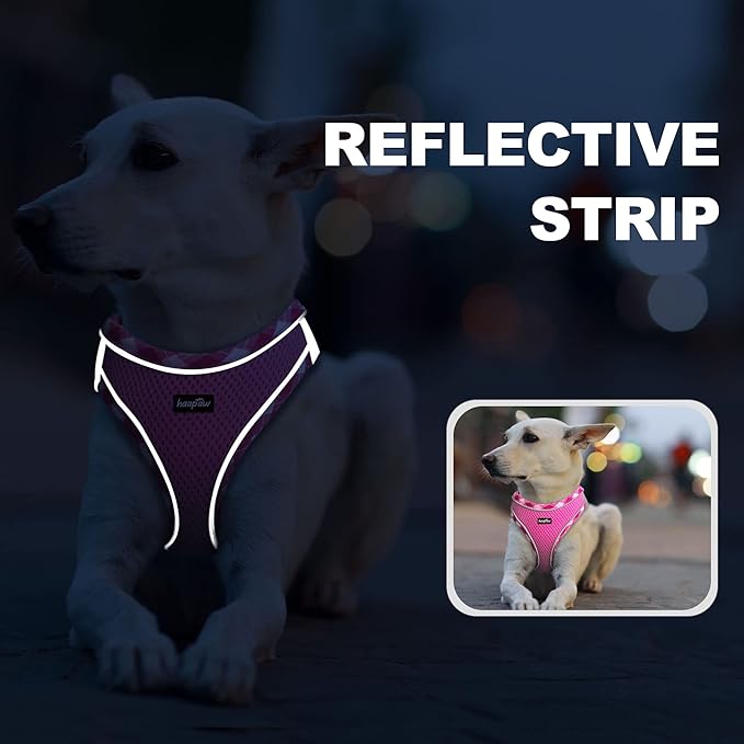 haapaw Dog Harness with Leash Set, No Pull Adjustable Reflective Step-in Puppy Harness with Thickened Padded Vest for Extra-Small/Small Medium Dogs