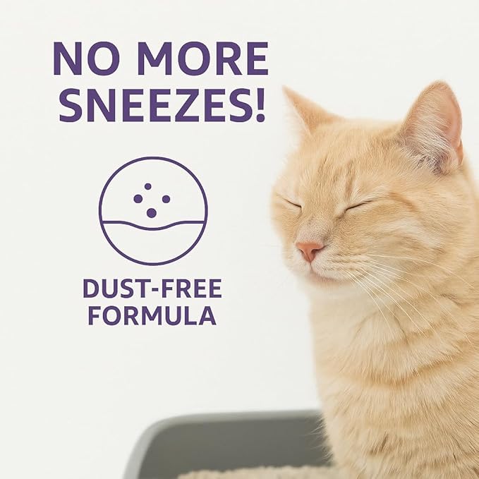 Lavender Scented Cat Litter – 37.8 lb / 20L, Fast Clumping, Natural Odor Absorption, Lightweight Formula, Made with Turkish White Bentonite