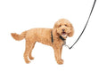 PetSafe 3 in 1 Dog Harness - No Pull Solution for Dogs - Reflective Dog Harness - Front D-Ring Clip Helps Stop Pulling - Comfortable Padded Straps - Top Handle Enhances Control - Black - Small