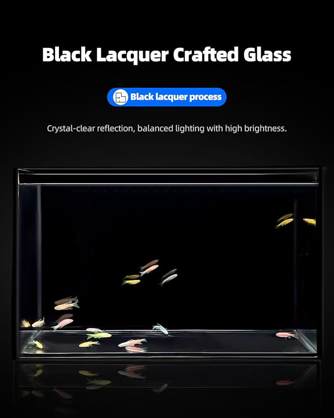 5 Gallon Clear Glass Fish Tank, Easy to Maintain Small Aquariumfor Betta, Goldfish, Snail,Shrimp and Aquatic Planting