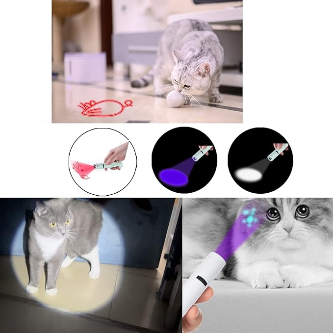 PARTSPOWER Laser Pointer Interative Cat Toy for Cats to Chase, Rechargeable Red Laser Light Pointer Exercises Training Tool for Kittens Cats Dogs (Purple)