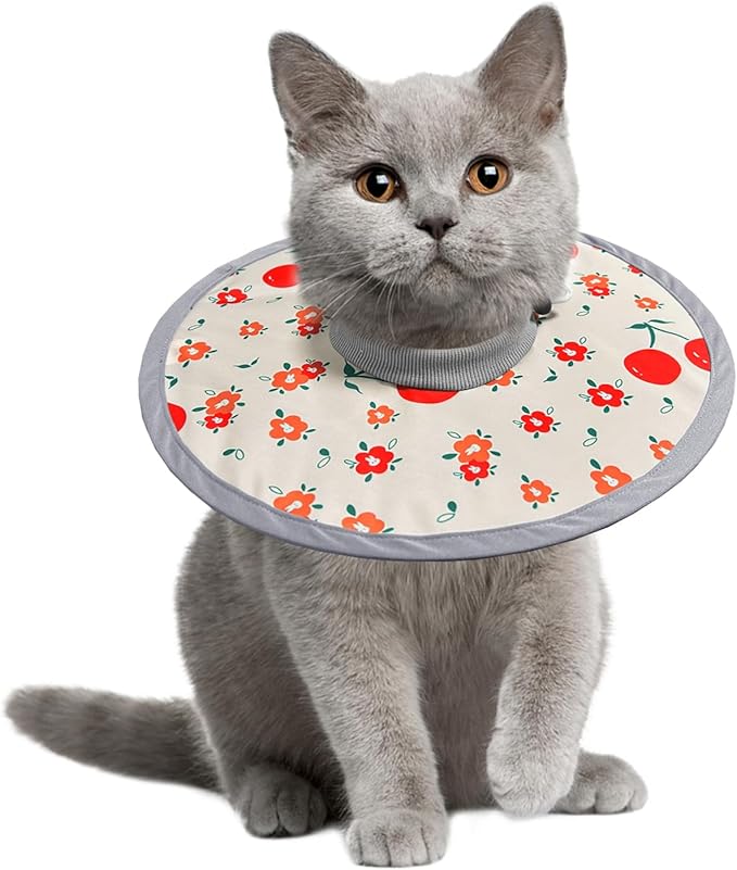 LOS ANDES Cat Recovery Collar for Necks, Alternative to Cones, Lightweight Post-Op Kitten and Puppy Protection