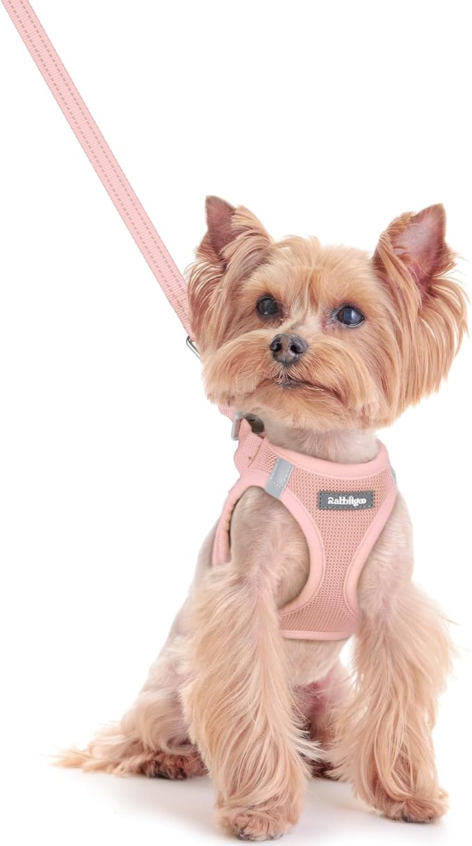 rabbitgoo Dog Harness Small Sized and Leash Set, Step in Soft Light Puppy Vest, Breathable Mesh Pet Harness, Reflective for Safe Outdoor Walking, Pink XXS