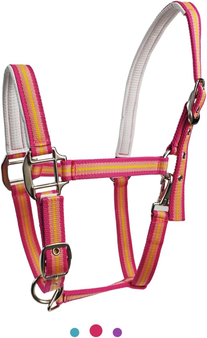 JWODVNTH Adjustable Horse Halter with PP Webbing, Durable Horse Halters with Zinc Alloy Hardware, Horses Training Equipment to Prevent Friction for Training, Competitions ＆ Daily