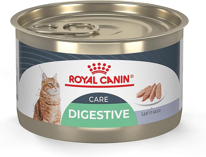 Royal Canin Feline Care Nutrition Digestive Care Loaf in Sauce Canned Cat Food, 5.1 oz can (24-count)