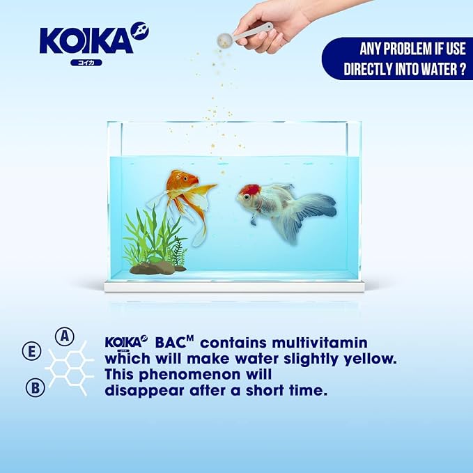 KOIKA BACM Natural Color Enhancement for Fish, Combination of Probiotic & Multi-Vitamins for Aquarium A, B6, B2, Pleasant Smell (BACM (New Formula), 10ml)