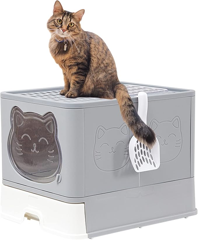 Top Entry Cat Litter Box with Lid, Anti-Splash Foldable Cat Litter Box with Activated Carbon Keeping Air Fresh, Drawer Type Easy to Clean, Large (Grey)
