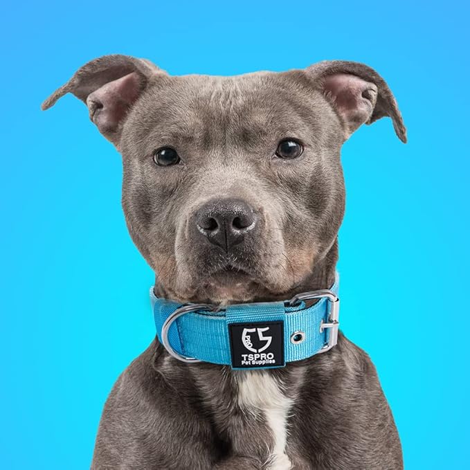 TSPRO Tactical Dog Collar 1.5 Inch Wide Thick Dog Collars with Heavy Duty Metal Buckle, Durable, Strong, Adjustable for Medium to Large Dogs (Blue L)