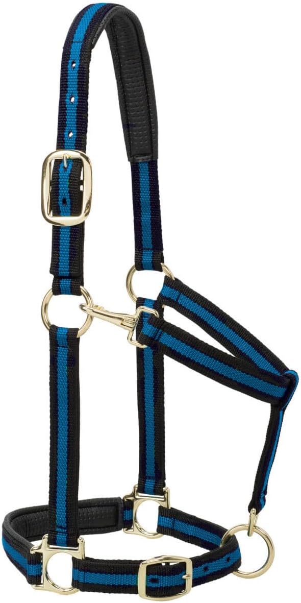 Weaver Leather Nylon Horse Halter, Padded and Adjustable, Chin and Throat Snap Hook Halters for Horses, Brass Plated Halters for Training