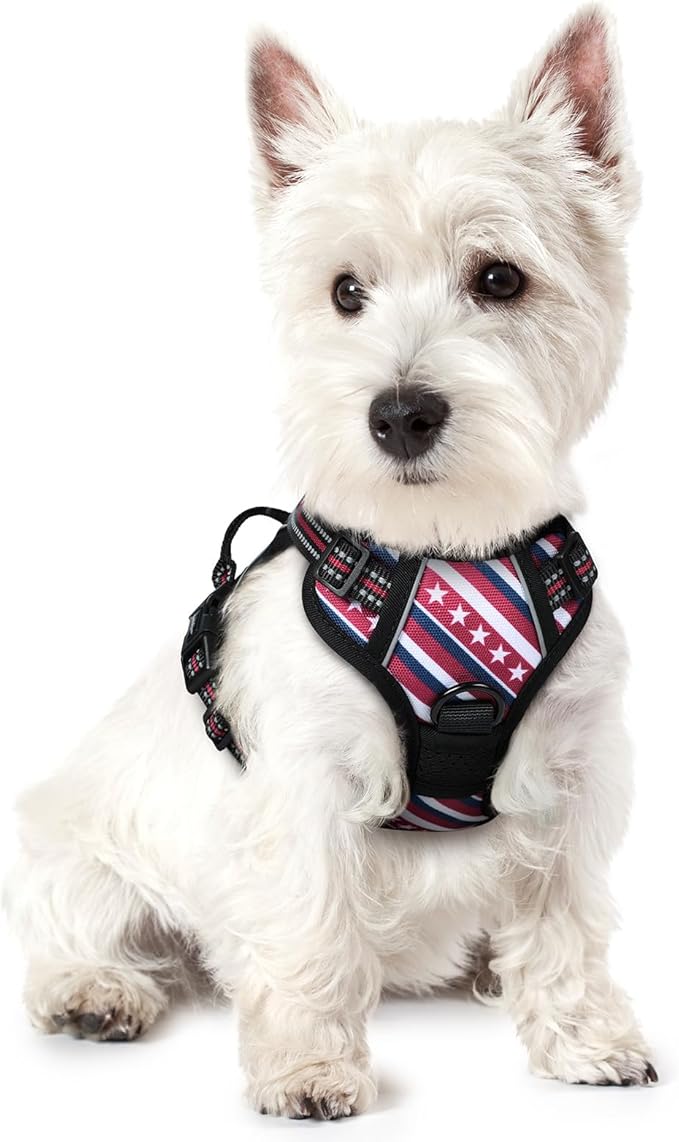 rabbitgoo Dog Harness No Pull with 2 Leash Clips, Adjustable Soft Padded, Reflective Oxford No Choke Pet Vest with Easy Control Handle for Large Dogs, Red Stripe, XS