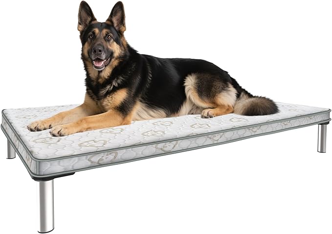 FXW TitanNest Chew-Proof Elevated Dog Bed, Raised Cot for Indoor/Outdoor/Camping Use, Durable & Washable Padded Pet Bed with Exclusive Reuseable Cover for Large Dogs, 50.0" L x 31.0" W x 7.3" H, Gray