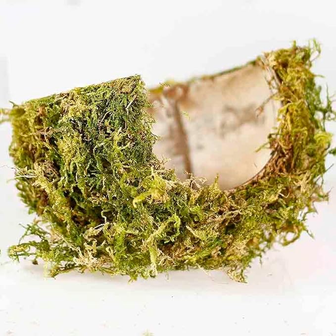 Coconut Hamster Hideout Hamster House Gerbil Cage for Small Animals with a Bundle of Apple Sticks a Carrot (Green)