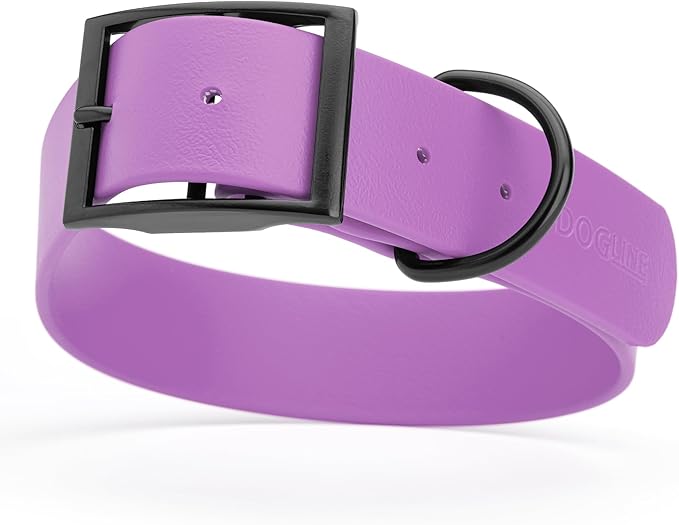 Dogline Biothane Waterproof Dog Collar Strong Coated Nylon Webbing with Black Hardware Odor- Proof for Easy Care Easy to Clean High Performance Fits Small Medium or Large Dogs, Amethyst Purple