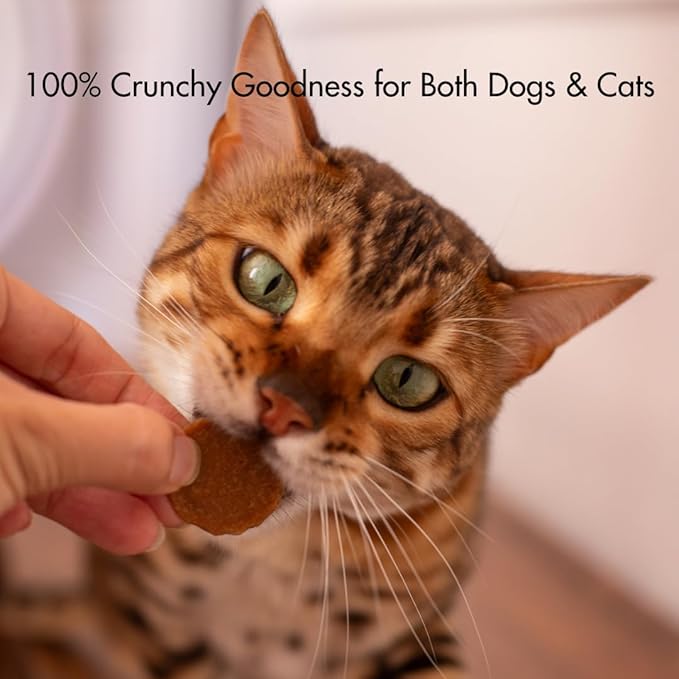 Silver Carp Chips Dog & Cat Treats | Single Ingredient | Wild Caught | Made w/Invasive Fish | Grain Free | High Protein + Low Fat | Hypoallergenic | Compostable Packaging | Made in The USA