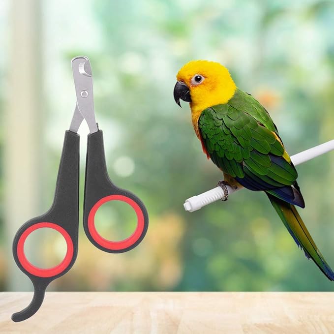 Cat Nail Clipper, Cat Nail Trimmers Cat Claw Clippers Small Dog Nail Clippers Bird Nail Scissors Stainless Steel Parrot Cage Essential Grooming Accessory for Small Animals Ferrets Bunny Rabbit Puppy